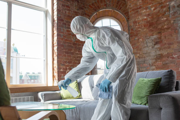 Best Forensic Mold Investigation  in Tolono, IL